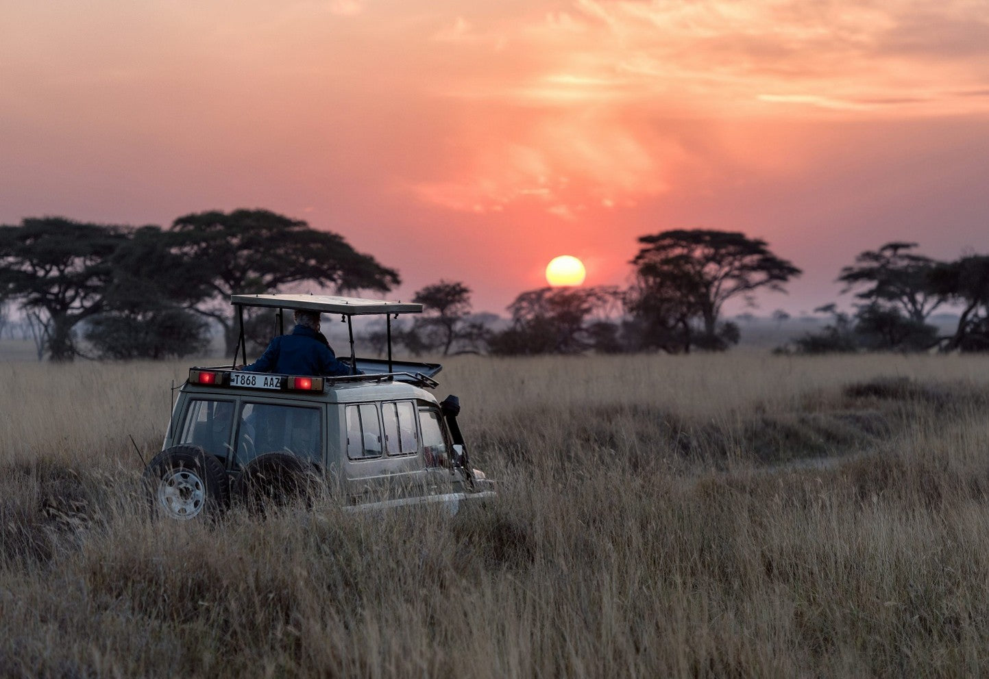 African Safari, River and Island Escape