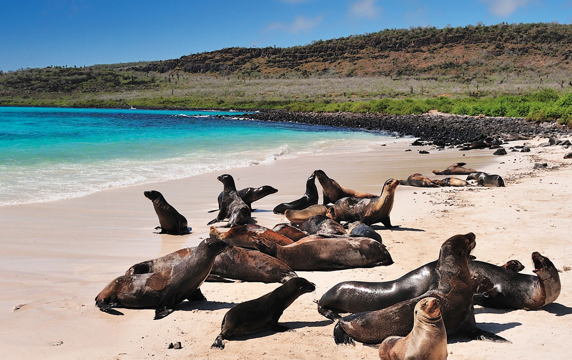 Peru & The Galápagos: Incas, Andes & Islands