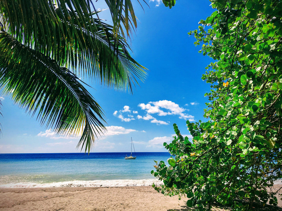 The Best of St Kitts & Nevis