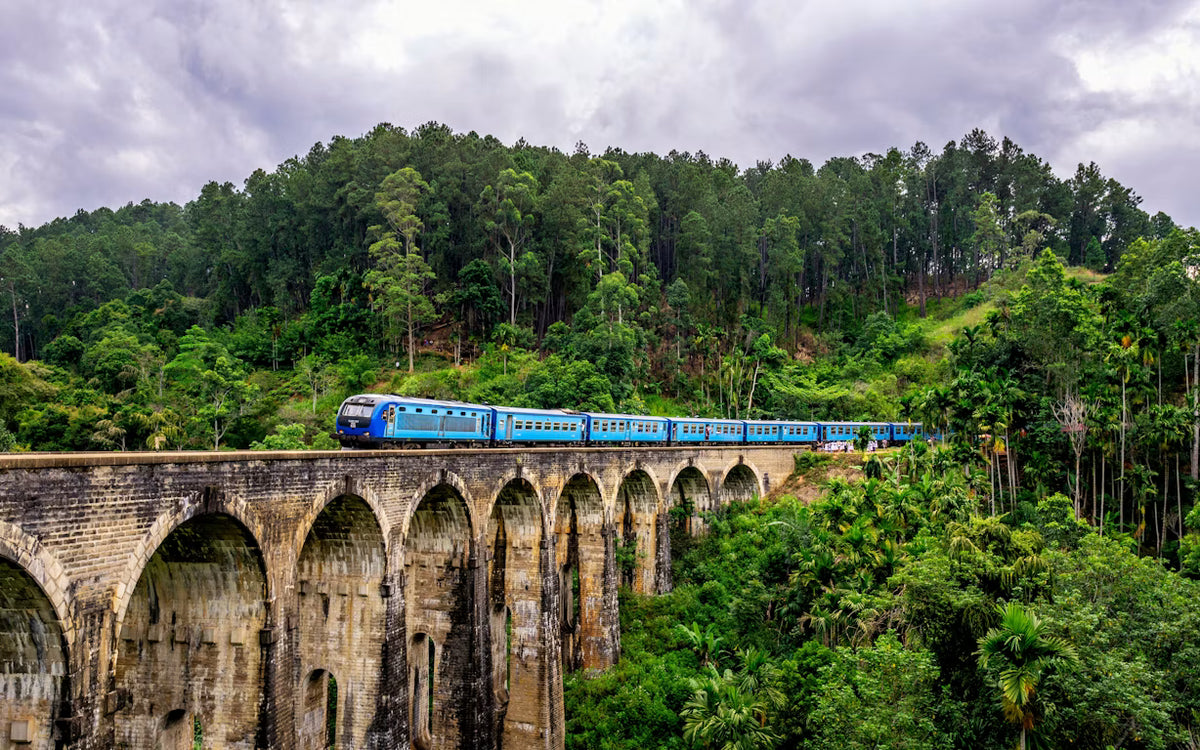 Discover Sri Lanka