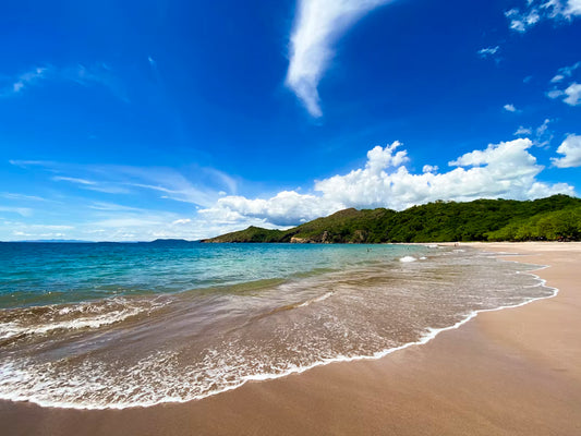 Costa Rica: Coffee, Rainforest & Pacific Paradise